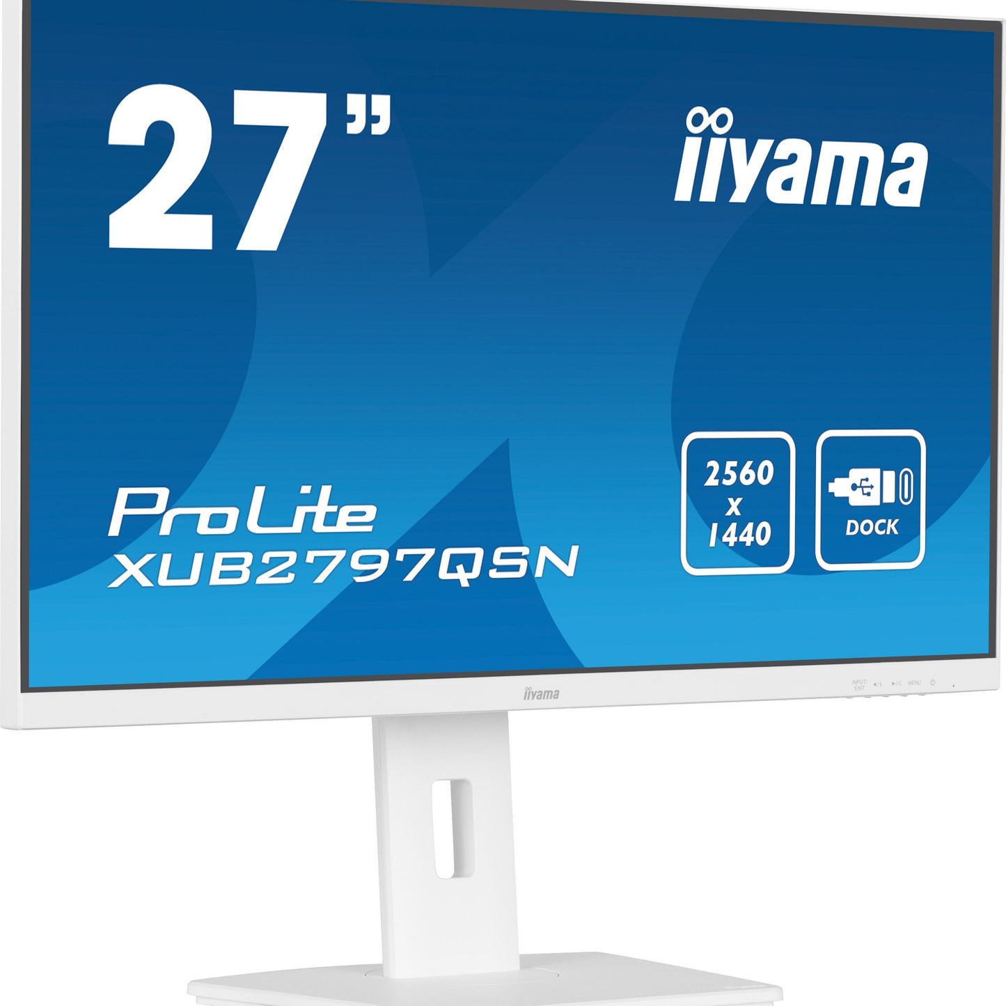 iiyama ProLite XUB2497HSN-B1 24" LED Full HD Display with USB-C & RJ45 (LAN) in White
