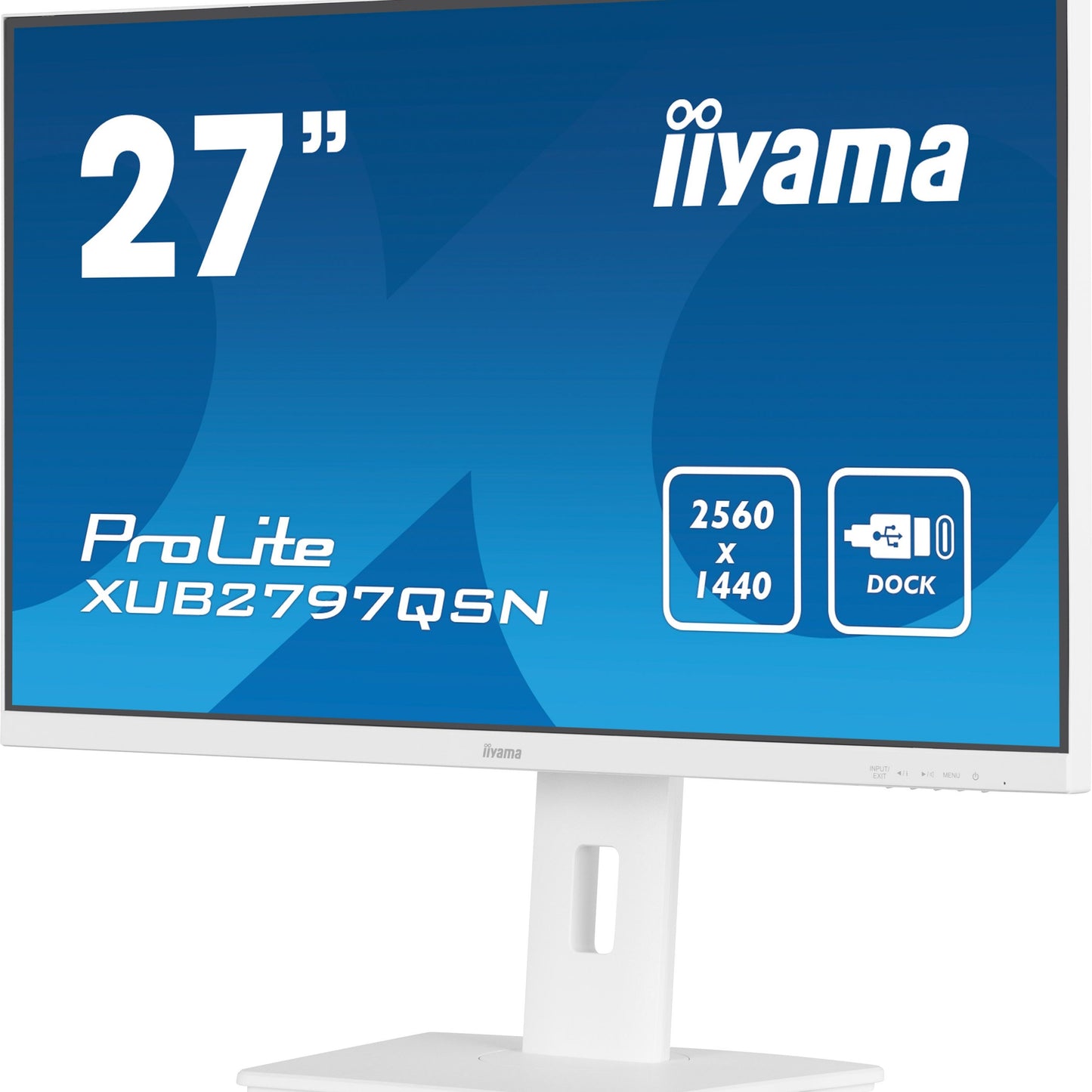 iiyama ProLite XUB2497HSN-B1 24" LED Full HD Display with USB-C & RJ45 (LAN) in White