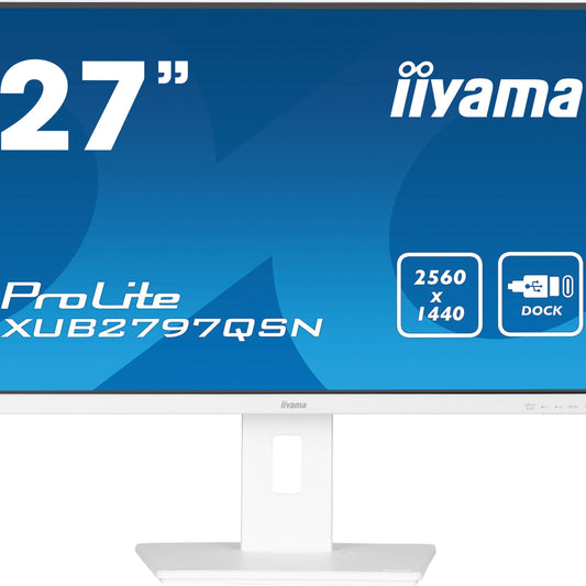 iiyama ProLite XUB2497HSN-B1 24" LED Full HD Display with USB-C & RJ45 (LAN) in White